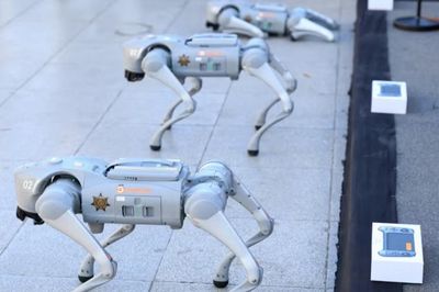 Chó robot được đưa vào nhiệm vụ an ninh tại World Cup 2026