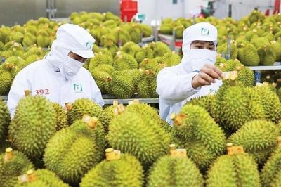 Có dấu hiệu làm sai lệch kết quả kiểm nghiệm hợp thức hóa hồ sơ xuất khẩu nông sản