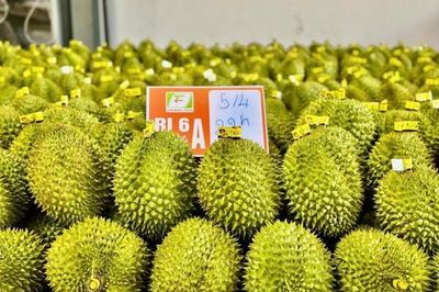 Lâm Đồng: Tăng cường quản lý mã số vùng trồng và cơ sở đóng gói làm đòn bẩy lớn cho xuất khẩu