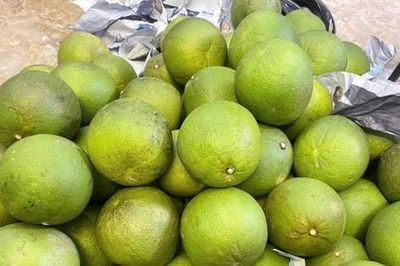 Nông sản Việt sẽ được truy xuất nguồn gốc quốc gia từ ngày 1 - 7