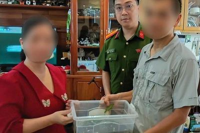 Hà Nội: Nuôi thú cưng 'lạ' làm cảnh, chủ hộ ngỡ ngàng khi Công an gõ cửa