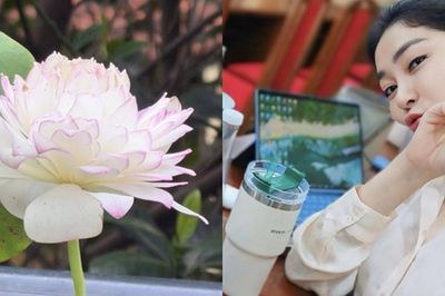 Hoa hậu Nguyễn Thị Huyền 'mát tay nuôi sen' trong vườn nhà
