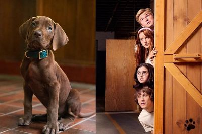 Netflix lần đầu tiên sử dụng chó thật trong 'Scooby-Doo', netizen chê quá chê