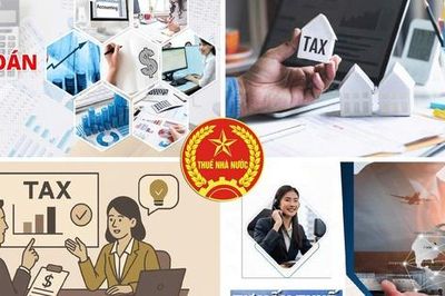 Cục Thuế cảnh báo việc doanh nghiệp lập nhiều sổ kế toán để che giấu doanh thu