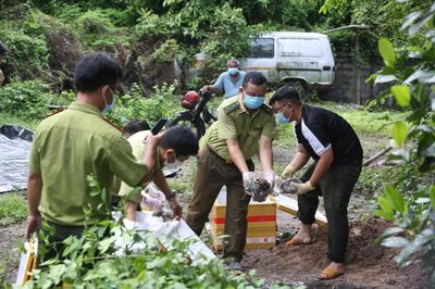 Tây Ninh tiêu hủy 127 kg thằn lằn núi Bà Đen vận chuyển trái phép
