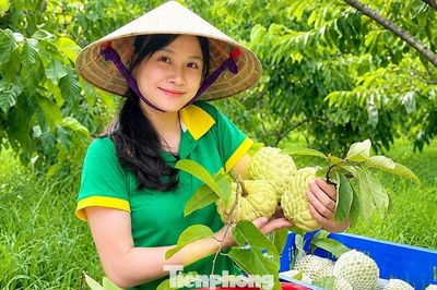 Thanh niên Nghệ An làm chủ công nghệ, đẩy mạnh phát triển kinh tế - xã hội