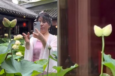 'Hoa sen song sinh' hiếm thấy nở trong quán trà, nhiều người tới chiêm ngưỡng