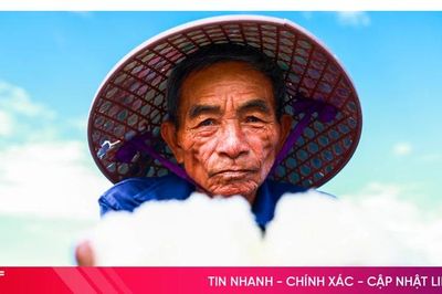 'Thân cò' trên cánh đồng muối