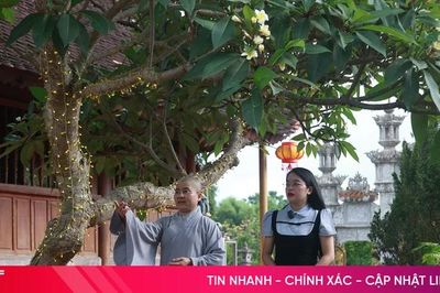 Khám phá ngôi chùa cổ ở thượng nguồn sông Ngàn Sâu