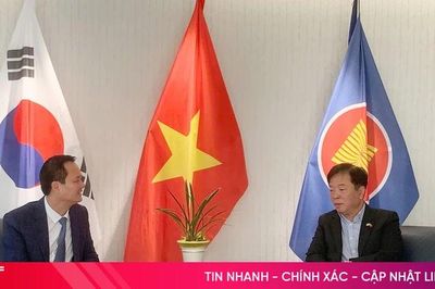 Hà Tĩnh thúc đẩy hợp tác, xúc tiến đầu tư với các tổ chức, doanh nghiệp Hàn Quốc