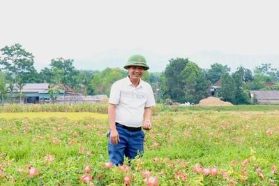 'Dược liệu quý' bén rễ trên đất cằn, nông dân Hà Tĩnh thu 20 triệu đồng/sào