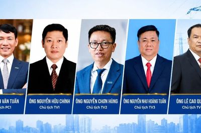 Bao nhiêu chủ tịch, tổng giám đốc ngành điện bị khởi tố trong 1 tháng qua?
