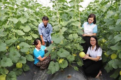 Nguồn vốn trao tay - trao cơ hội làm giàu
