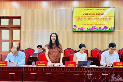 Khảo sát, đề xuất đầu tư nhà máy chế biến sâu cà phê tại xã Mường Ảng