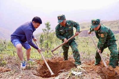 Các địa phương tăng tốc trồng cà phê, mắc ca