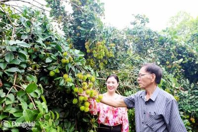 Ðồng Nai kích cầu du lịch