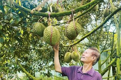 Giải pháp tăng giá trị xuất khẩu ngành nông nghiệp