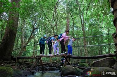 Những tour khám phá rừng độc đáo ở Ðồng Nai