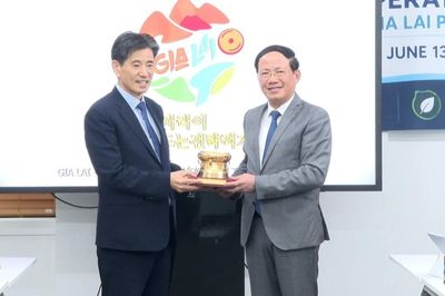 Chủ tịch UBND tỉnh Phạm Anh Tuấn làm việc với Hiệp hội Kinh tế - Văn hóa Hàn Việt
