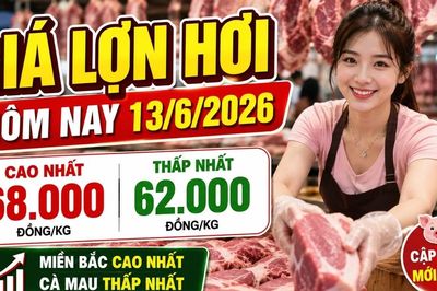 Giá lợn hơi hôm nay 13/6: Cà Mau thấp nhất, Hà Nội vẫn neo cao