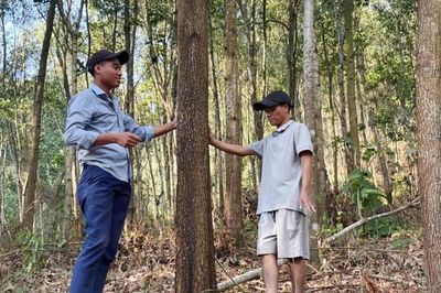 Làm giàu trên vùng đất khó