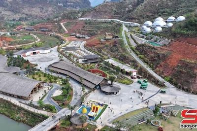 Ngày Quốc tế Yoga năm 2026 sẽ diễn ra tại Khu du lịch Mộc Châu Island