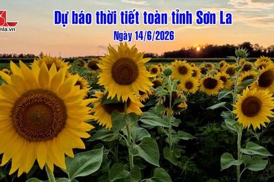 Dự báo thời tiết toàn tỉnh Sơn La ngày 14/6/2026