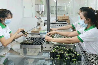 Phát triển kinh tế dược liệu ở Huế