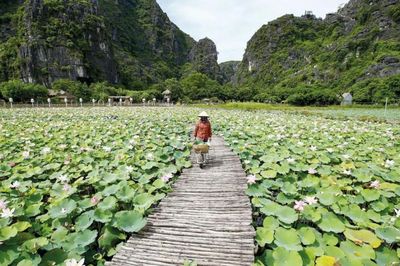 Chính sách hoàn thuế - chìa khóa 'hút' đoàn phim quốc tế đến Việt Nam