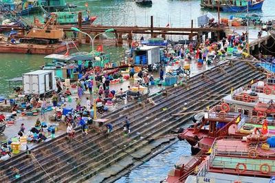 Chợ cá Cái Rồng, Vân Đồn - Bình minh muôn sắc trên biển trời Đông Bắc