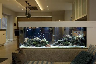 4 vị trí đặt bể cá phong thủy dễ hao tài và ảnh hưởng sức khỏe mà nhiều gia đình vẫn mắc phải