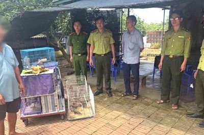 Người đàn ông Hải Phòng bị phạt 3 triệu đồng vì nuôi, nhốt 46 cá thể chim hoang dã