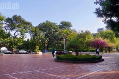 Bắt đầu công tác khảo sát, thăm dò tìm kiếm hài cốt liệt sĩ tại Công viên Lê Thị Riêng