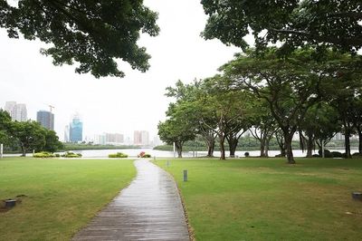 Hồ Vân Đang: Từ 'hồ nước chết' đến không gian sinh thái giữa lòng thành phố Hạ Môn