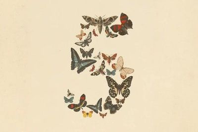 [GALLERY] Anthropic tung AI mạnh nhất, người dùng lần đầu được trải nghiệm