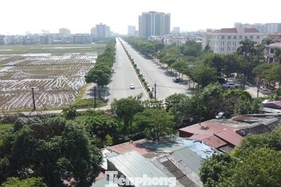 Hà Nội xây 1.166 căn hộ cho thuê tại phường Việt Hưng