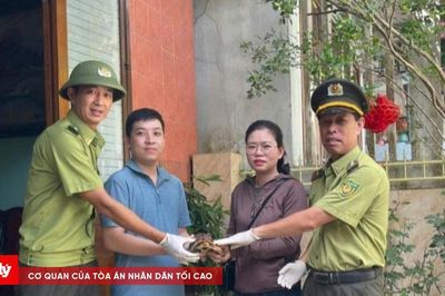 Tiếp nhận, bảo tồn hai cá thể rùa do người dân giao nộp