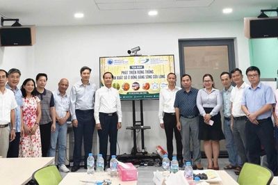 Khai mở tiềm năng vùng nguyên liệu gỗ tại Đồng bằng sông Cửu Long