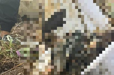 Xuất hiện tin sai sự thật sau vụ phát hiện thi thể tại Bệnh viện Đa khoa Bà Rịa