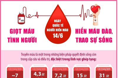 Ngày Quốc tế Người hiến máu 14/6: Giọt máu tình người - Hiến máu đào, trao sự sống