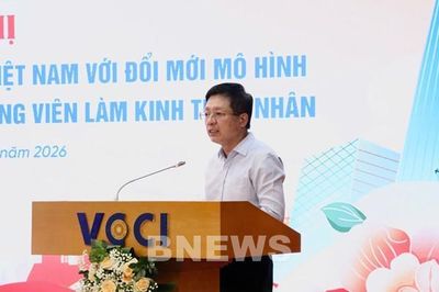 Chính phủ số: Từ kỳ vọng tới những trải nghiệm thực tế của doanh nghiệp