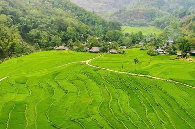 Bảo vệ diện tích lúa bậc thang gắn với phát triển du lịch