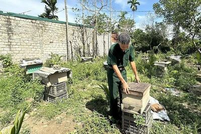 Cựu chiến binh giúp nhau làm kinh tế giỏi