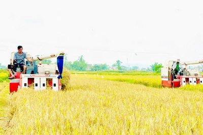 Giao hòa núi, đồng, sông, biển...