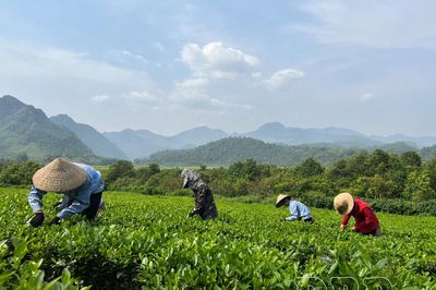 Hướng đến nền nông nghiệp sạch, bền vững