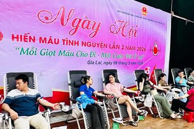 Gửi yêu thương, gieo sự sống