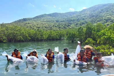 Thả 11.500 con tôm, cá giống tái tạo nguồn lợi thủy sản vịnh Nha Trang