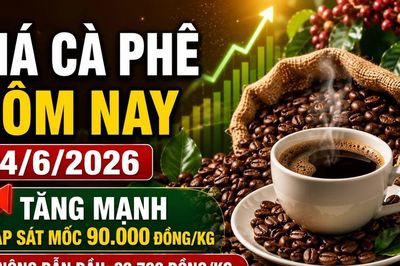 Giá cà phê hôm nay 14/6: Tây Nguyên áp sát mốc 90.000 đồng/kg