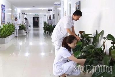 Nơi 'sức khỏe xanh' nảy mầm