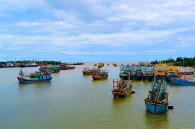 Kỳ thú chuyện biển